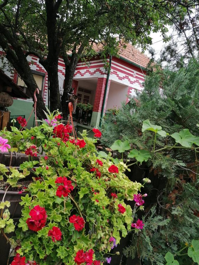 Etno Apartmani "Vlaska Kuca" Cladova Exterior foto