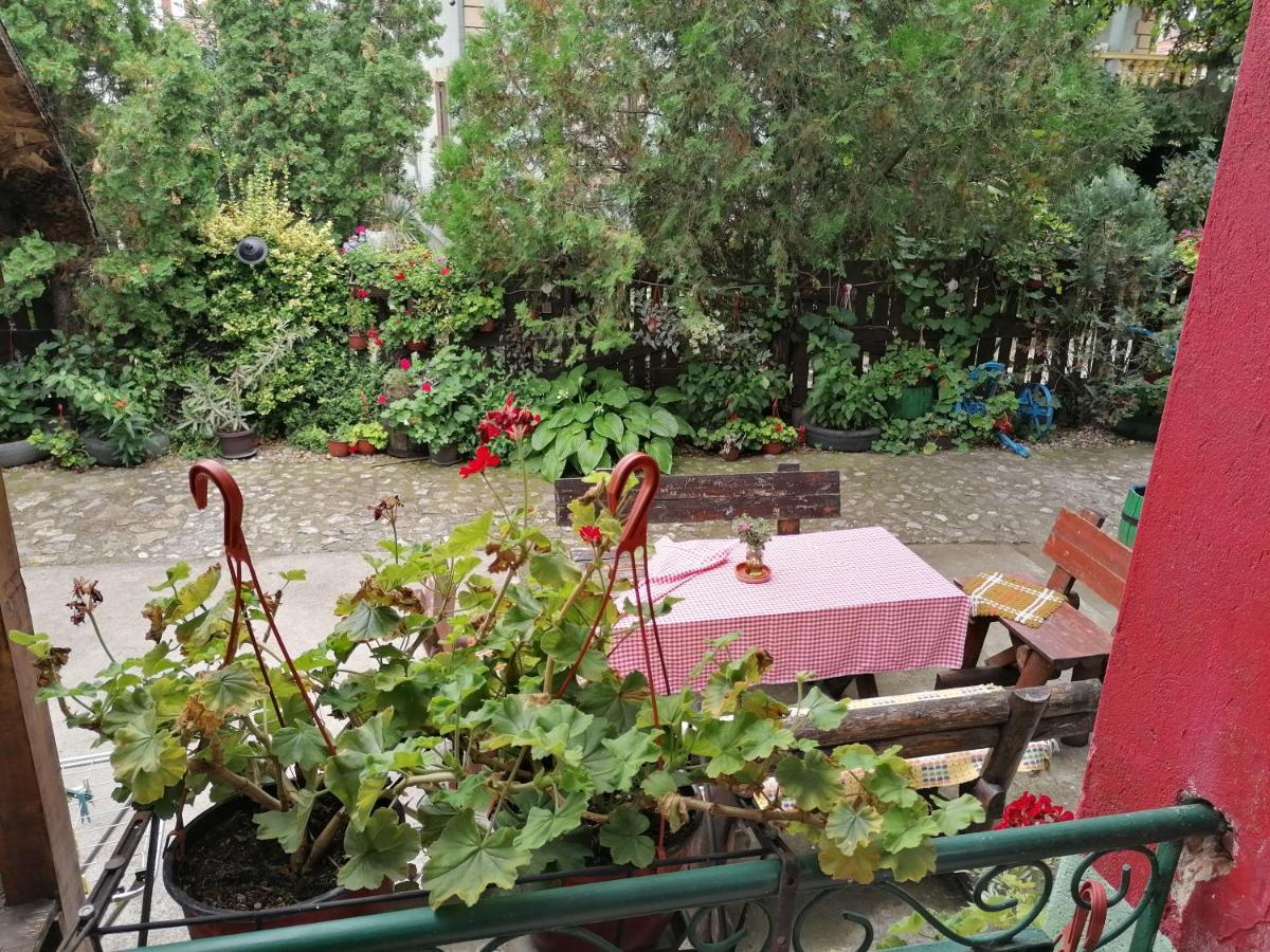 Etno Apartmani "Vlaska Kuca" Cladova Exterior foto